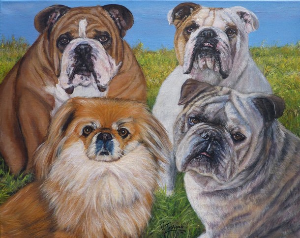Peinture portraits de 4 chiens bulldog et pékinois - acrylique - virginie trabaud artiste peintre