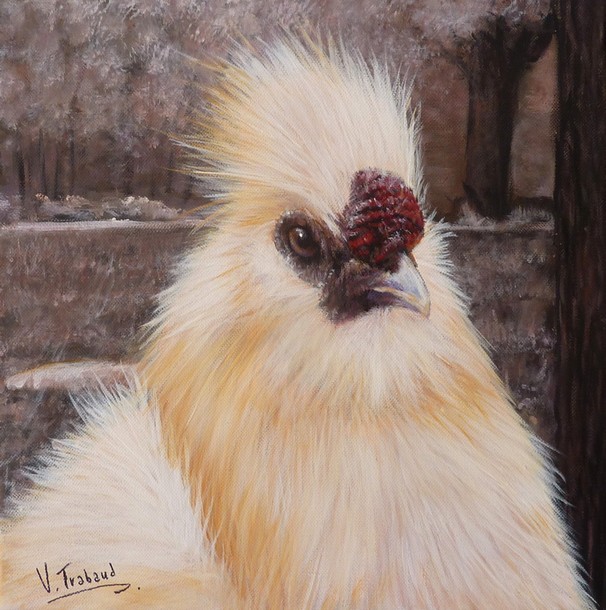 Peinture Portrait de Poule Soie - Acrylique sur toile - Virginie TRABAUD Artiste animalier