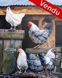 Peinture en Relief 3D - - poules et coq à la ferme - Cliquez sur l'image pour voir la fiche et l'agrandissement