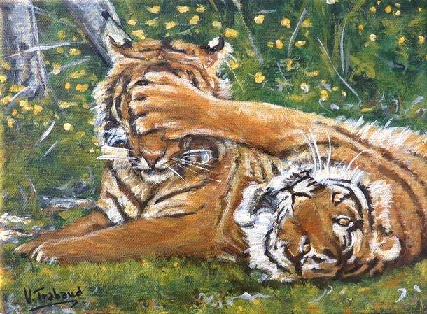 Peinture Les Tigres jouant - Acrylique - Virginie Trabaud Artiste Peintre Animalier