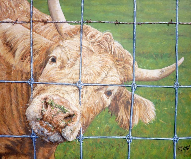 peinture portrait de vache - en relief - virginie trabaud artiste peintre