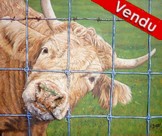 peinture portrait vache - virginie trabaud artiste peintre