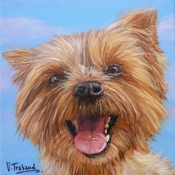 Peinture Yorkshire chien portrait - acrylique - Virginie TRABAUD