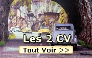 Peintures sur les 2cv Ami Dyane