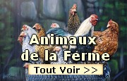 Peintures sur les Animaux de la Ferme poule coq moutons