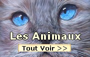 Peintures sur les Animaux