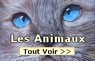 Peintures sur les Animaux