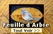 Peintures sur feuille d arbre