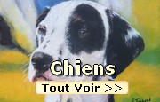 Peintures sur les Chiens