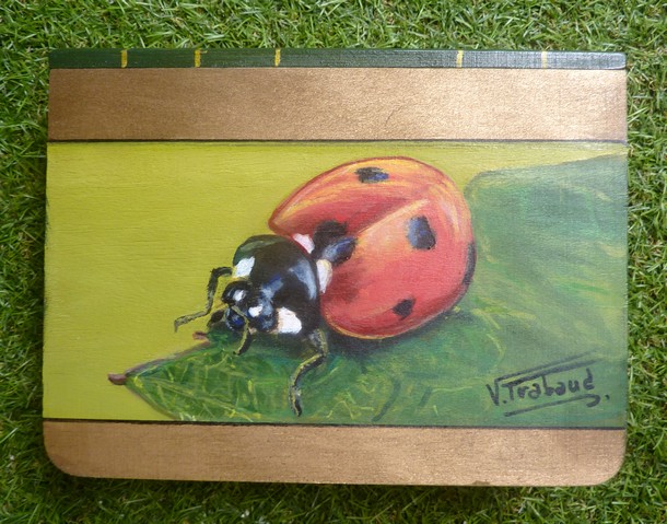 Coccinelle peinture acrylique sur Coffret en bois avec tiroir- trompe l oeil livre virginie TRABAUD