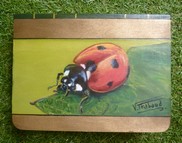 le rouge et le noir coffret en bois d�co coccinelle - virginie TRABAUD
