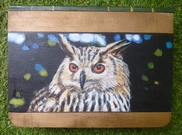 Hibou-quine coffret en bois d�co hibou - virginie TRABAUD