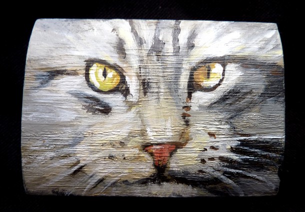 coffre miniature en bois tte de chat gris - Peinture acrylique sur bois - Virginie TRABAUD