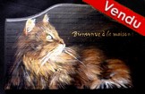 Peinture sur bois - Chat maine coon couch- plaque de porte