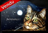 Peinture sur bois - chat tigr nuit - plaque de porte - virginie trabaud