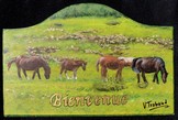 Peinture sur bois - Les chevaux- plaque de porte