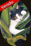 Peinture sur plaque de porte Chat noir et blanc - acrylique virginie trabaud