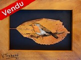 Peinture sur feuille d arbre Oiseau Rouge-gorge sur une branche - Cliquez sur l image pour voir la fiche dtaille