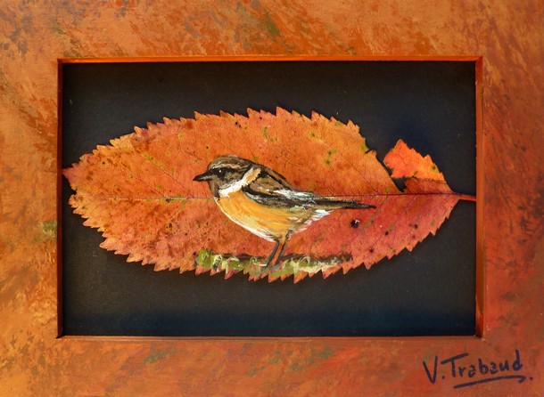peinture Oiseau Tarier Ptre Male - Acrylique sur feuille de cerisier - Virginie TRABAUD