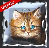 Peinture sur bois - chaton aus yeux bleus - plateau dco