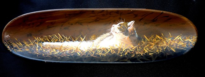 Peinture sur porcelaine - chat couch dans le foin - virginie trabaud