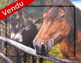 peinture anes et cheval d'aprs photos - artiste peintre