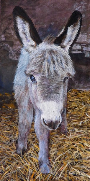 Tableau Anon Gris  la ferme Olaf - Peinture acrylique - Virginie TRABAUD Artiste Peintre animalier