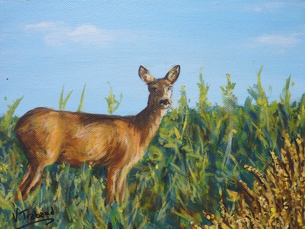 Peinture La Biche dans la campagne - Virginie Trabaud Artiste Peintre Animalier