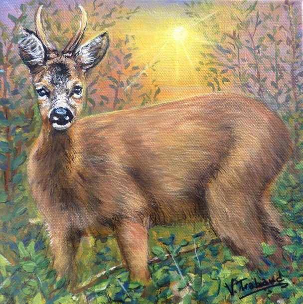 Peinture Jeune Chevreuil dans la forêt - Acrylique Virginie TRABAUD Artiste peintre