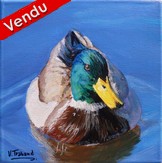 peinture acrylique canard colvert - Cliquez sur l image pour voir la fiche dtaille de l oeuvre