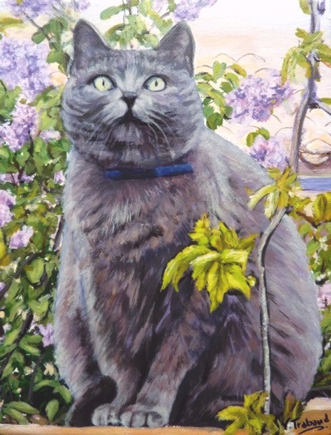 Peinture chat chartreux assis d'aprs photo - acrylique - Virginie Trabaud