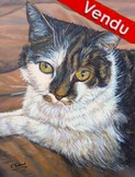 Peinture portrait de Chat - Choupette - Virginie Trabaud artiste peintre