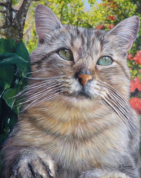 Peinture Chat europen jardin de corse 3D - Acrylique et mortier en relief Virginie TRABAUD Artiste peintre