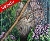 peinture chat maine coon et lilas - Cliquez sur l image pour voir la fiche dtaille et consulter le tarif de l oeuvre