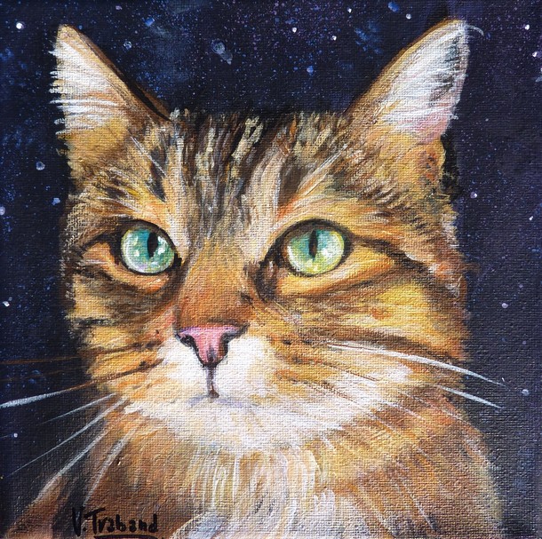 Virginie Trabaud Artiste Peintre Peinture Chat Europeen De Nuit Acrylique