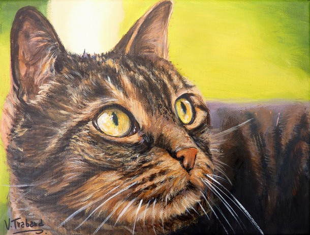 Portrait de Chat europen couch - Peinture acrylique - Caline - Virginie TRABAUD