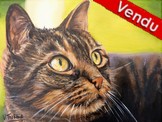 Peinture Portrait chat europen brun beige - acrylique - Virginie Trabaud Artiste Peintre