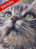 Peinture chat europen gris portrait - acrylique - Virginie Trabaud Artiste Peintre
