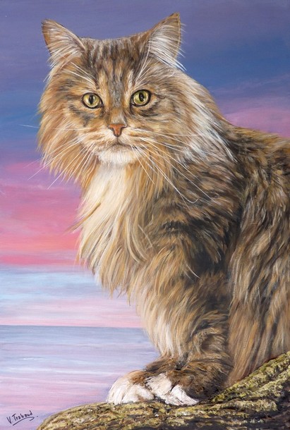 Peinture Chat Maine Coon Assis 3D - Acrylique et mortier en relief Virginie TRABAUD Artiste peintre