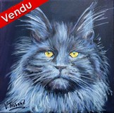 Peinture chat maine coon blue smoke - acrylique - Virginie Trabaud Artiste Peintre