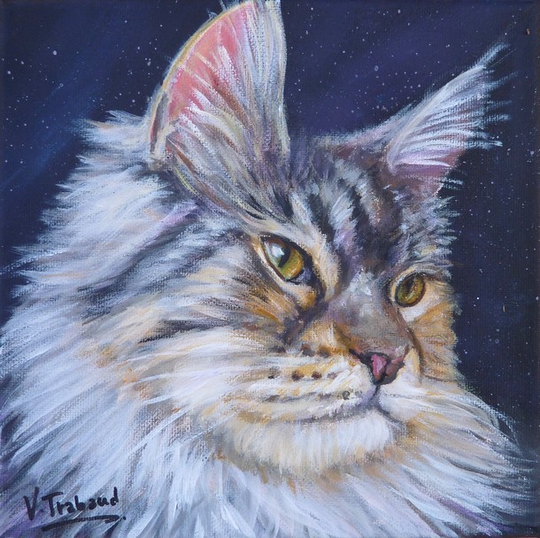 Peinture Portrait de chat maine coon gris - acrylique - Virginie Trabaud artiste peintre animalier