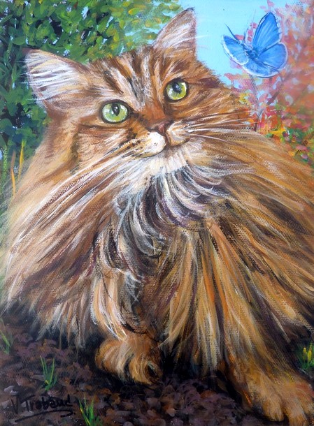 Peinture chat maine coon dans le jardin avec papillon bleu - acrylique Virginie TRABAUD