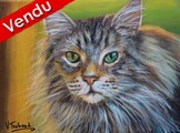 Portrait chat maine coon vismo - Peinture acrylique - Cliquez sur l'image pour voir la fiche dtaille