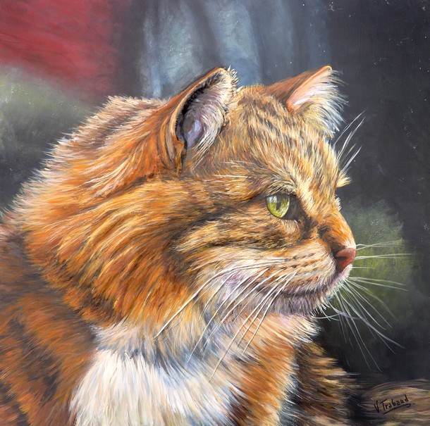 Peinture Portrait de Chat Maine Coon - Acrylique et mortier en relief Virginie TRABAUD Artiste peintre