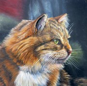 Peinture en Relief 3D -  Portrait de Chat Maine coon - Virginie Trabaud