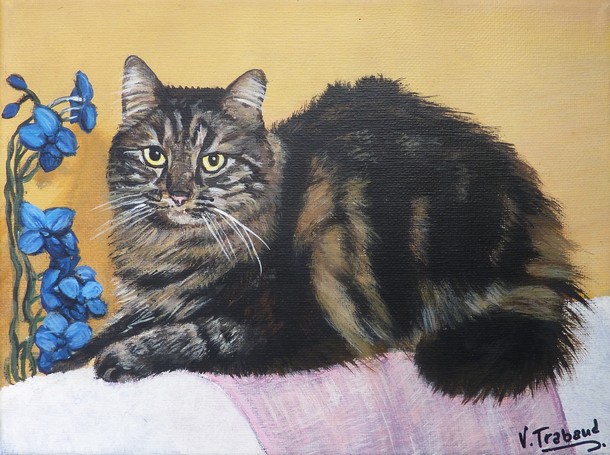 Peinture Chat maine coon avec orchide bleue d'aprs photo - acrylique - Virginie TRABAUD