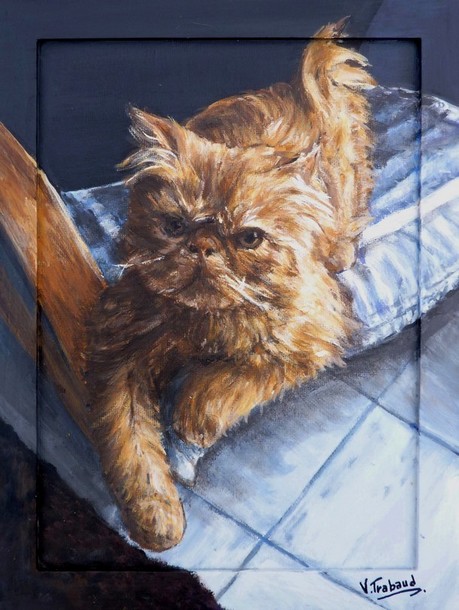 peinture chat persan roux allong sur un lit - acrylique d'aprs photos - virginie trabaud