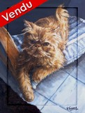 peinture Chat Persan roux couch - Cliquez sur l image pour voir la fiche dtaille