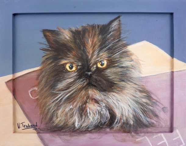 Peinture portrait chat persan caille de tortue d'aprs photo - acrylique - virginie trabaud artiste peintre