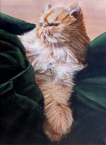 peinture chat persan roux et blanc - acrylique d'aprs photos - virginie trabaud